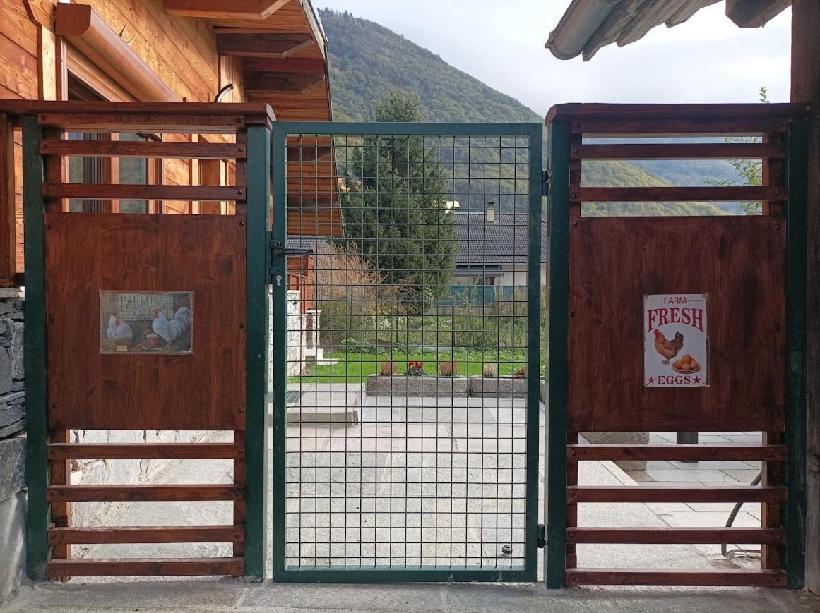 Joli Terrasse Et Jardinet *